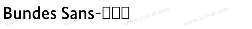 Bundes Sans字体转换 Bundes Sans字体转换